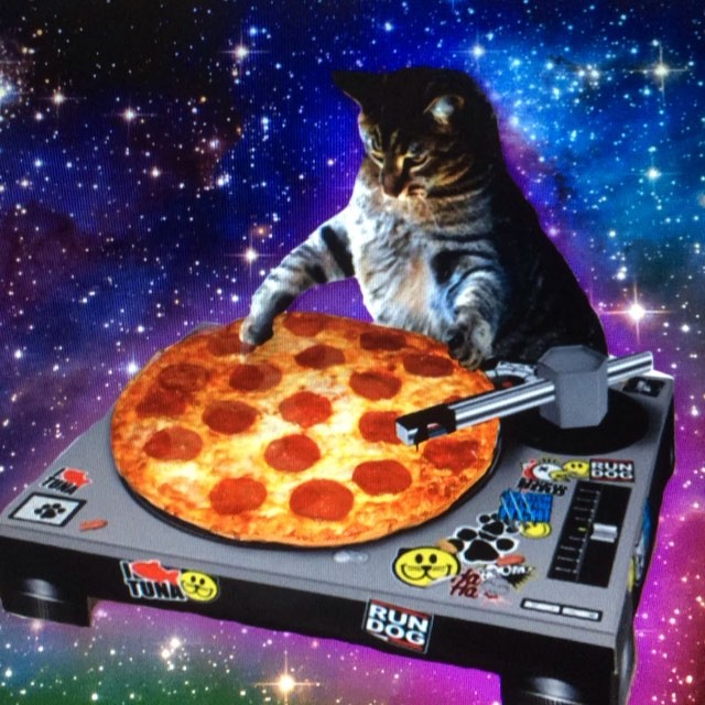 cat dj