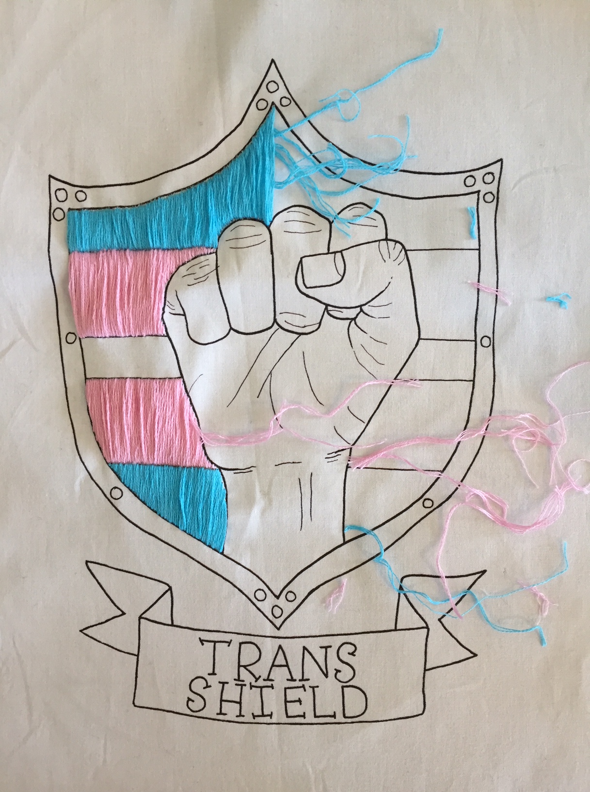 Art - Trans-Shield-logo