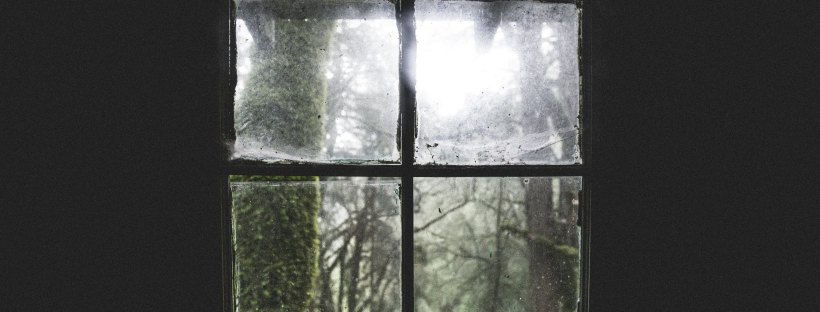 Photo of a dark wall with a grimy window, looking out on a forest with lichen on trees