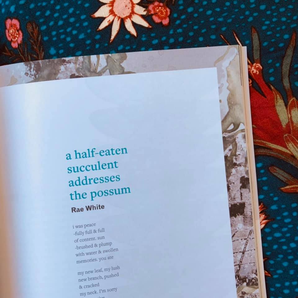 Photo of a magazine spread on a blue floral background. The text on the magazine shows the title in blue ‘a half-eaten succulent addresses the possum’ by Rae White. The start of the poem text reads, ‘i was peace / -fully full & full / of content. sun / -brushed & plump / with water & swollen / memories. you ate / my new leaf, my lush / new branch, pushed / & cracked / my neck. I’m sorry ‘
