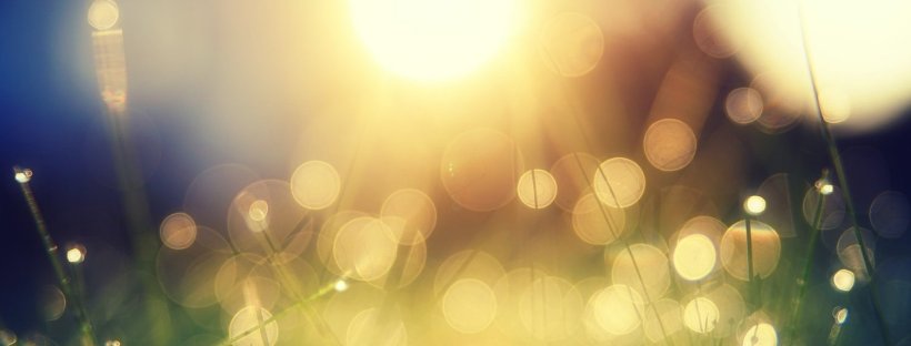 Photo of bright sun on dewy green grass.