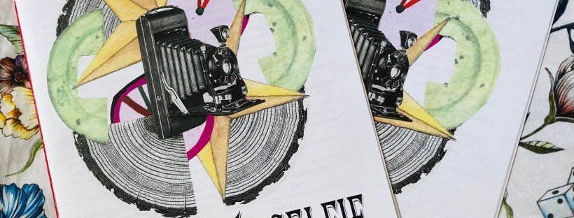 Photo of two zines called ’Show Me Yr Selfie’ with a picture collage on the front that includes a camera image. The zines lay on a background of blue and yellow flowers.