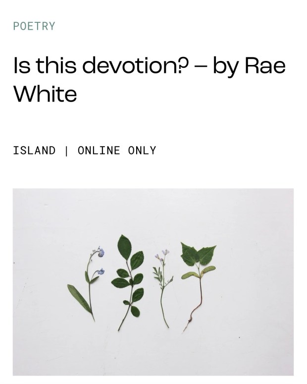 Screenshot of the Island website featuring a photo of four pressed plants and flowers on a white background. Above this, dark text reads, ‘POETRY. Is this devotion? - by Rae White. ISLAND | ONLINE ONLY.’